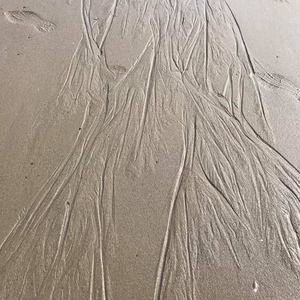 Meet your Posher, Odette